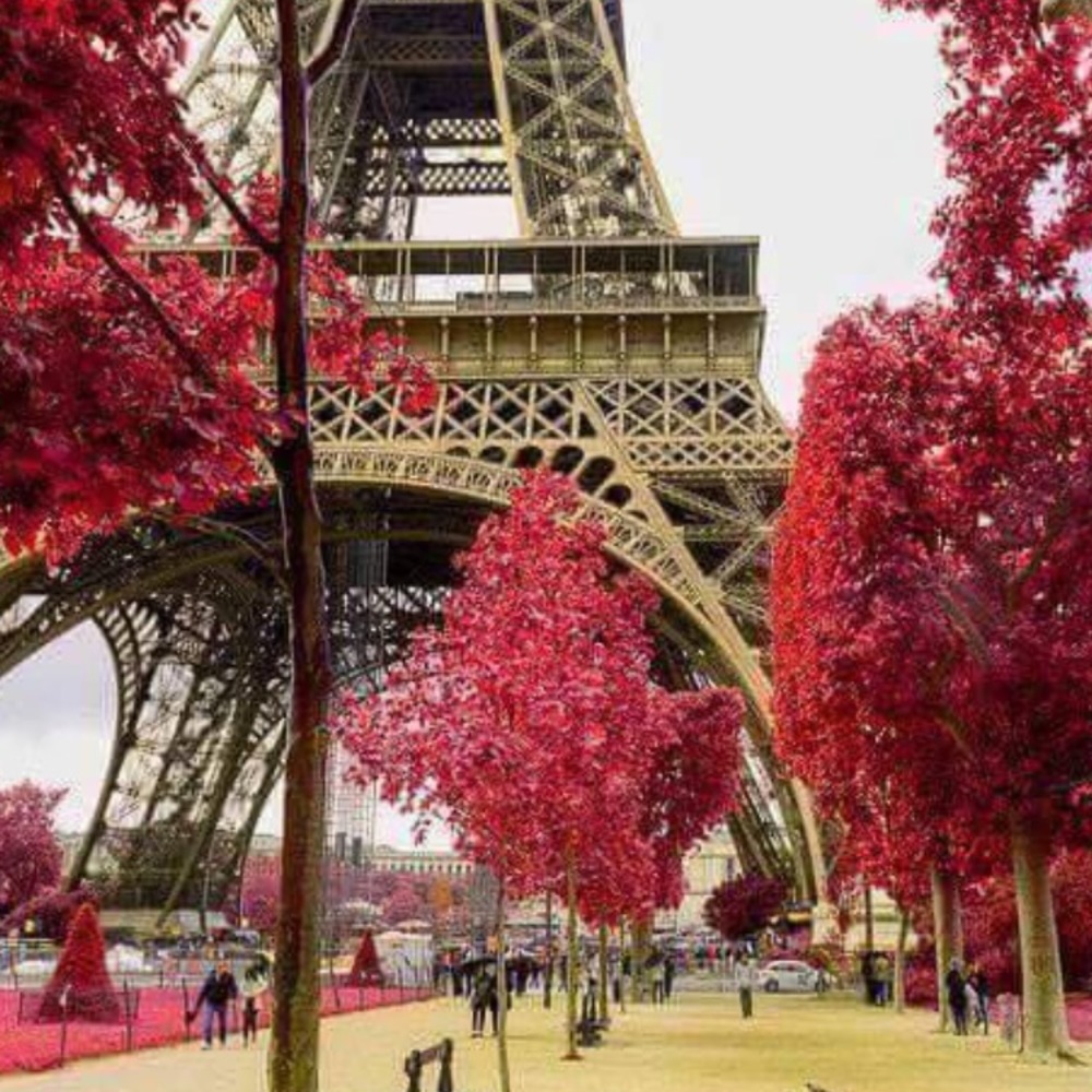 Meet your Posher, Rosa